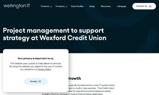 Preview of the Wexford Credit Union Case Study