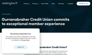 Preview of the Gurranabraher Credit Union Case Study