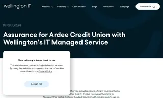Preview of the Ardee Credit Union Case Study
