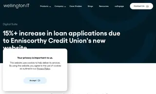 Preview of the Enniscorthy Credit Union Case Study