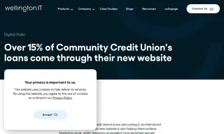 Preview of the Community Credit Union Case Study