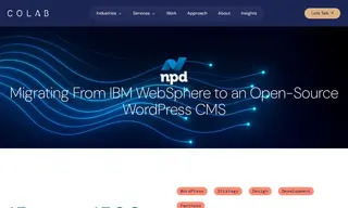 Preview of the NPD Group Case Study