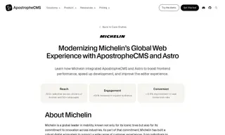 Preview of the Michelin Case Study