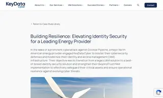 Preview of the Leading Energy Provider Case Study