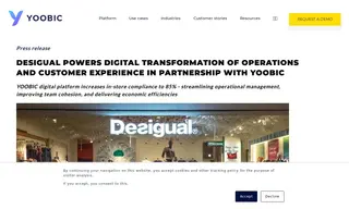 Preview of the Desigual Case Study
