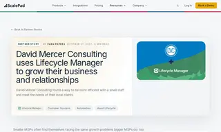 Preview of the David Mercer Consulting Case Study
