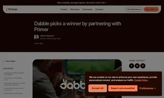 Preview of the Dabble Case Study