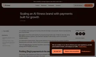 Preview of the Zing Case Study