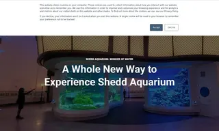 Preview of the Shedd Aquarium Case Study