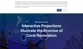 Preview of the Shedd Aquarium Case Study