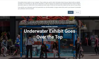 Preview of the Shedd Aquarium Case Study