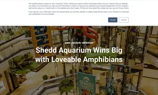 Preview of the Shedd Aquarium Case Study