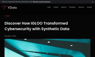 Preview of the Igloo Corporation Case Study