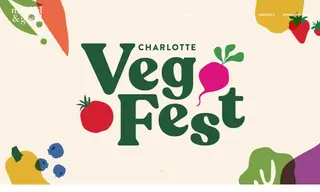 Preview of the Charlotte VegFest Case Study