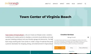 Preview of the Town Center of Virginia Beach Case Study