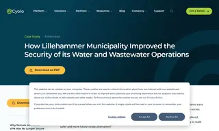 Preview of the Lillehammer municipality Case Study