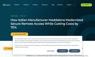Preview of the Maddalena S.p.A Case Study
