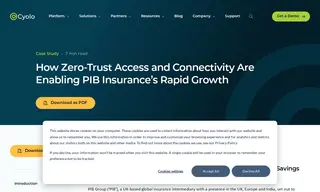 Preview of the PIB Group Case Study