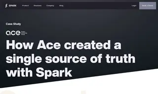 Preview of the Ace Project Marketing Case Study