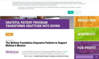 Preview of the Wellstar Foundation Case Study