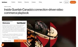 Preview of the Guerlain Canada Case Study