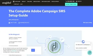 Preview of the Adobe Campaign Case Study