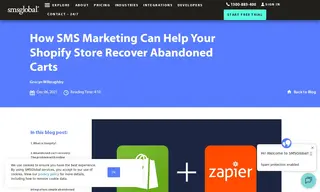 Preview of the Shopify Case Study