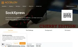 Preview of the SocksXpress Case Study