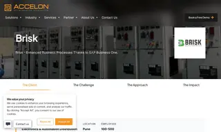 Preview of the Brisk Electronics Pvt Ltd Case Study