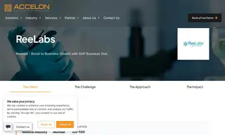 Preview of the ReeLabs Case Study