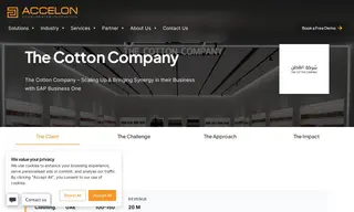 Preview of the The Cotton Company Case Study