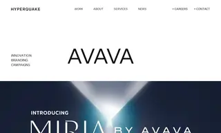 Preview of the Avava Case Study