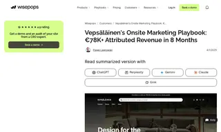 Preview of the Vepsäläinen Case Study
