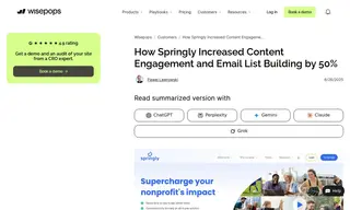 Preview of the Springly Case Study