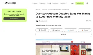 Preview of the overstockArt.com Case Study