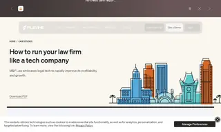 Preview of the M&Y Personal Injury Attorneys Case Study