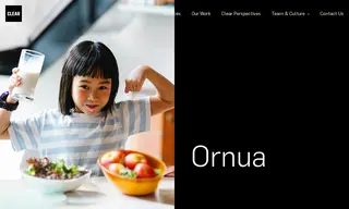 Preview of the Ornua Case Study