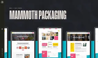 Preview of the Mammoth Labels & Packaging Case Study