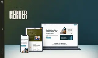 Preview of the Gerber Case Study