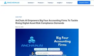 Preview of the Big Four Accounting Firm Case Study