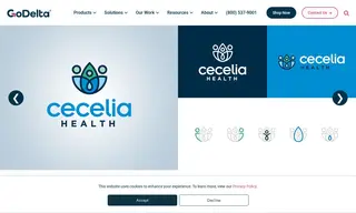 Preview of the Cecelia Health Case Study