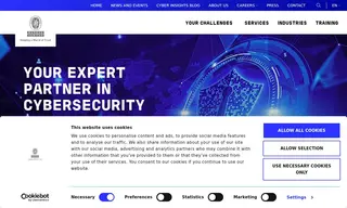 Preview of the Mid-Size Technology Organization Case Study
