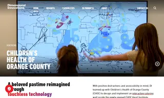 Preview of the Children’s Health of Orange County (choc) Case Study