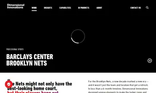 Preview of the Brooklyn Nets Case Study