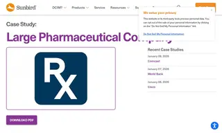 Preview of the Large Pharmaceutical Company Case Study