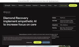 Preview of the Diamond Recovery Case Study