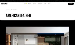 Preview of the American Leather Case Study