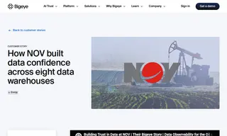 Preview of the NOV Inc Case Study