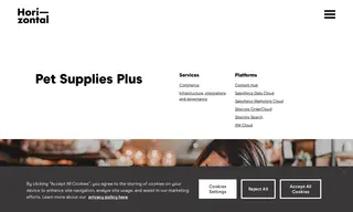 Preview of the Pet Supplies Plus Case Study