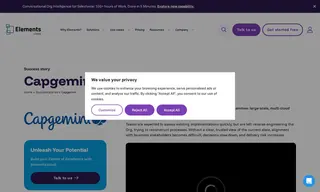Preview of the Capgemini Case Study